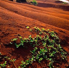 《赛博朋克2077》Steam升至特别好评 总监致谢