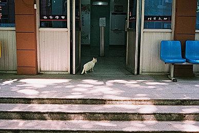 神秘游戏《遗弃》发布预告图 游戏玩家开始疯狂猜想