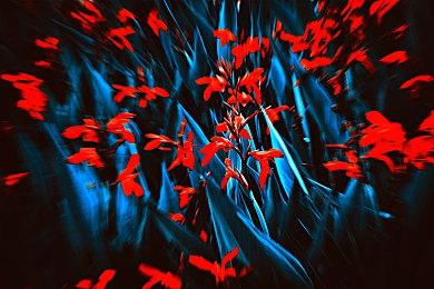 《幻想生活》续作Steam爆火 峰值超越《毁灭战士》